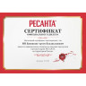 Дизельная пушка РЕСАНТА ТДП-50000 67/1/23